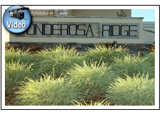 Ponderosa Ridge